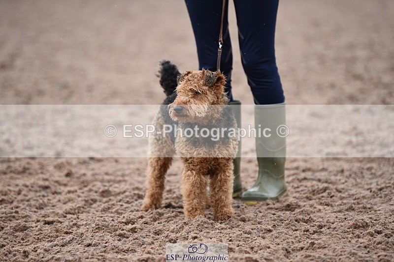 240518A-132646-01300 - Cls 8 Dog the judge would most like to take home