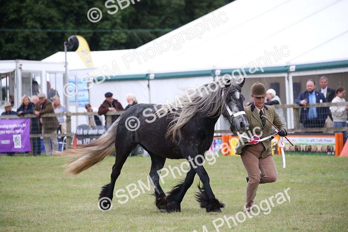 SBM_09857 - Ch 50 - Price Family Supreme In Hand