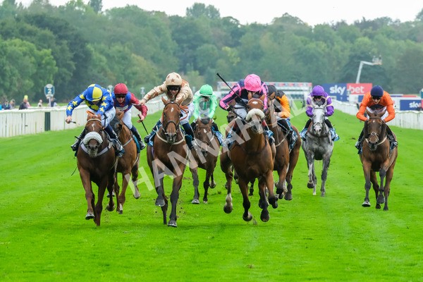 080925-Race 3-Rock N Roll Pinkie-8445 - Race 3 3.30pm Skybet Proud To Support ROR Stayers Handicap