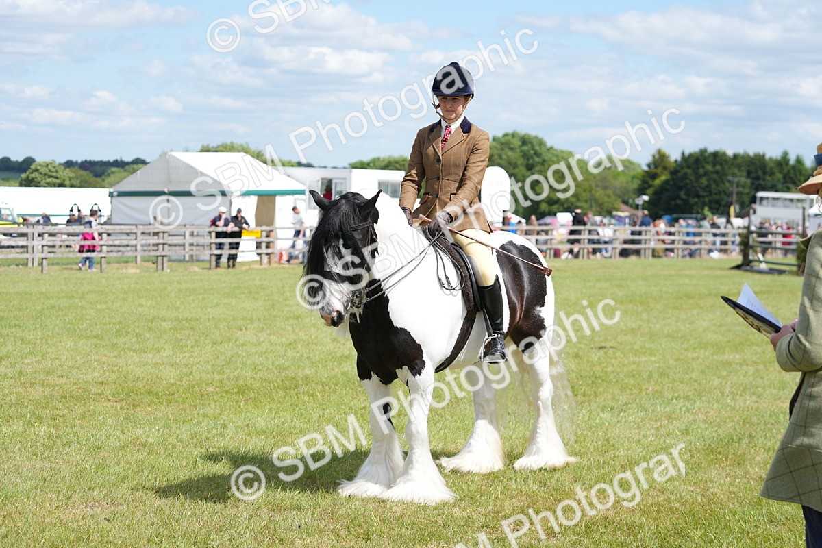 SBM_17237 - Class 107-108 - LIHS BSPS Performance Coloured Horse Pony
