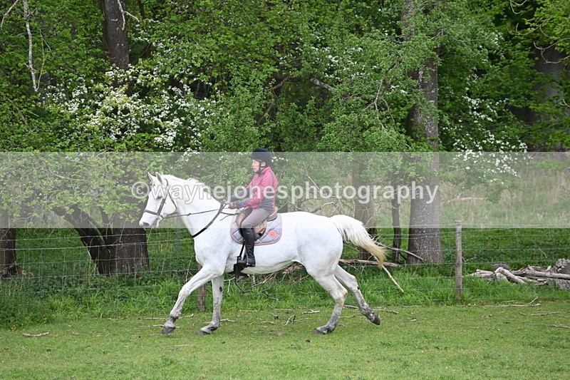 WJ6_3162 - A camera