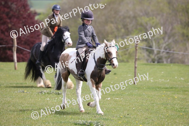 20260426-4056 - Class 33 - Best Pony 14.2hh and Under