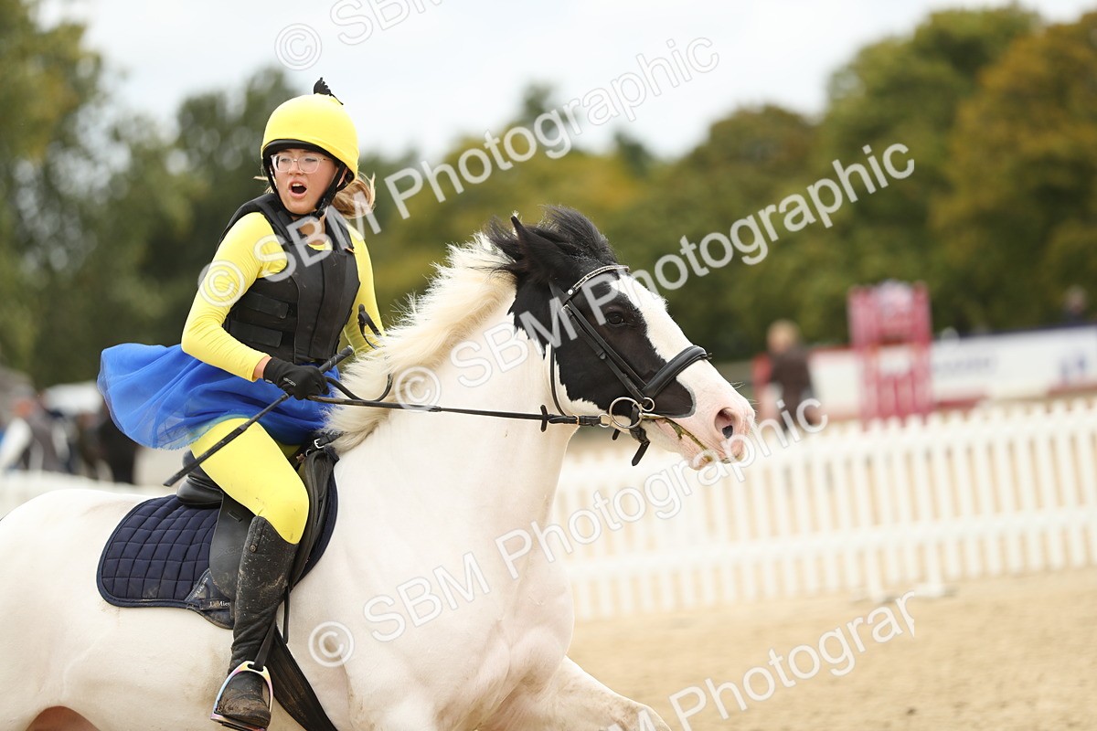 SBM_65801 - J48 - Pairs Jumping Open 70cm & 85cm