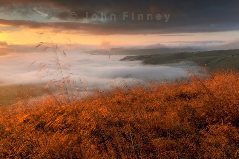 Gold Rush - Peak District & surrounding area