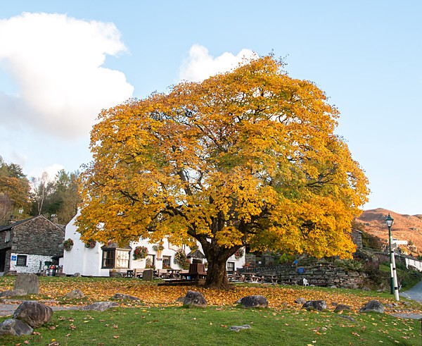 lll0172 - South Lakes