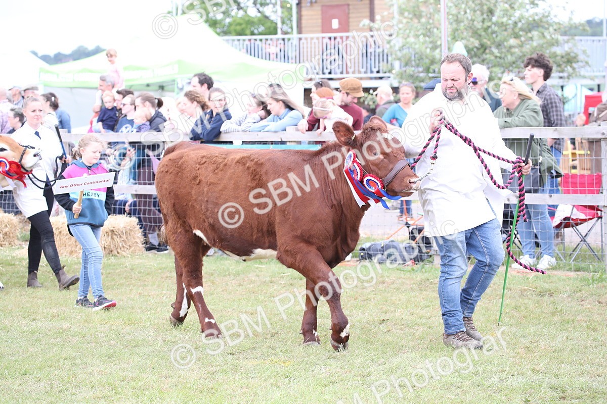 SBM_07840 - Grand Parade
