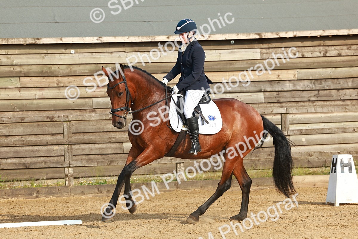 SBM_000385 - Class 5 - Novice 2