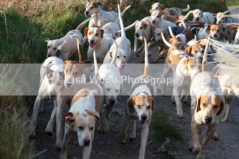 3E7A5265 - FBH Carn Brea 26.12.2025