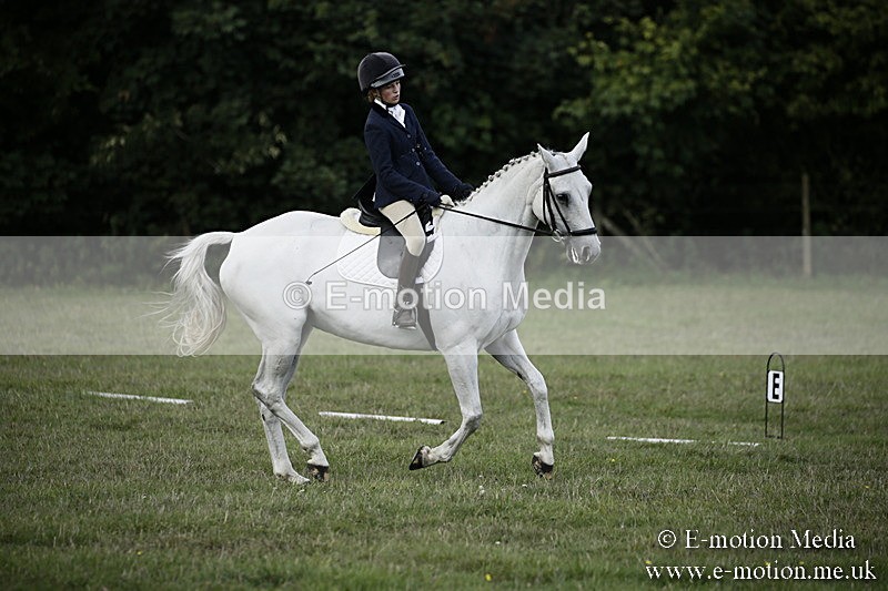 BVR090918 176 - BVRC Dressage and Show Jumping 09/09/18