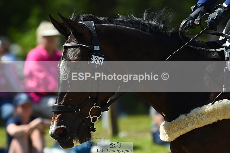 230527-143324-11199 - 439-ROHERYN_RUBY-Imogen_Murray-SJ