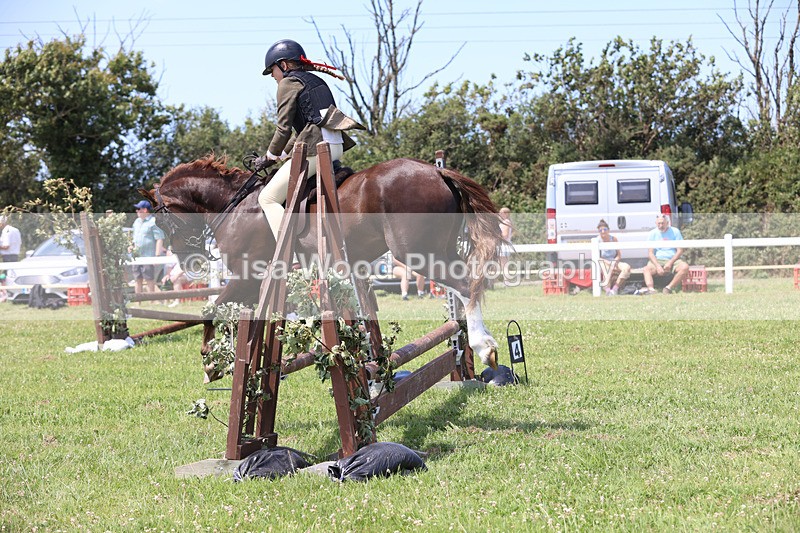 JPP_2412 - Class 21: Working Hunter 60cm