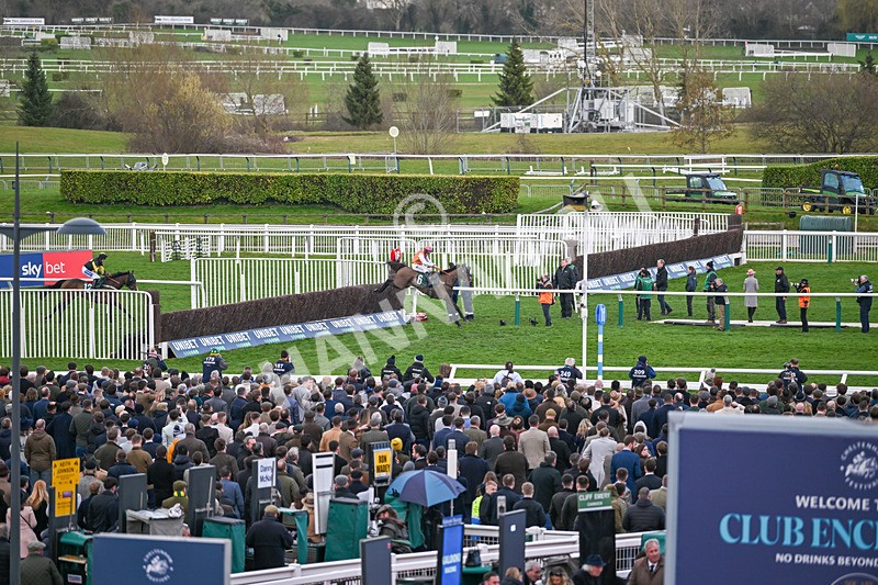 110325-Race 7-Haiti Couleurs-3937 - 11th March