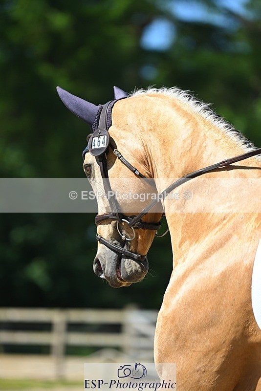 230526-104927-05712 - 464-GRANDE_BY_DESIGN-Emma_Manton-DR