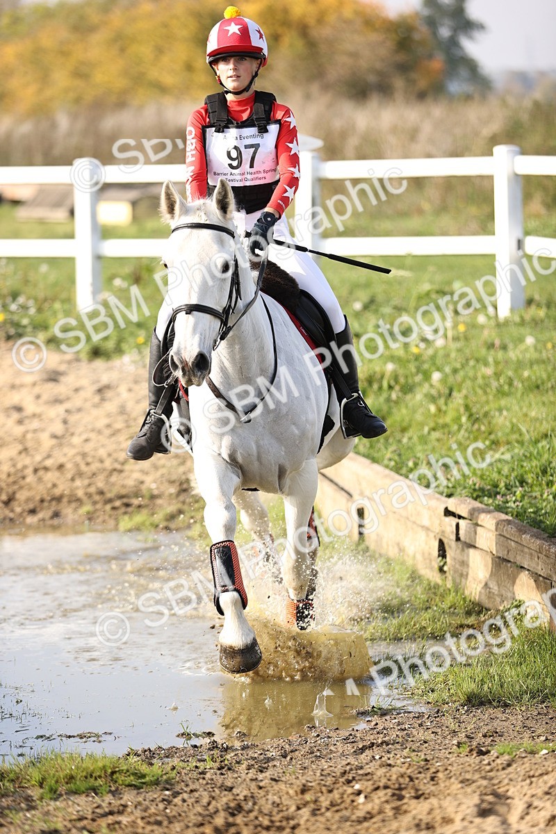 SBM_003535 - Class 3 - 90cm