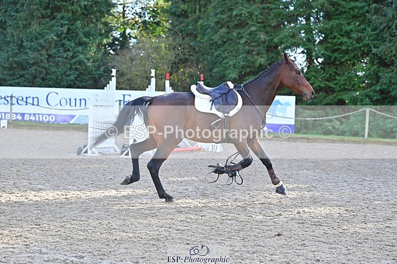 241027-134411-17610 - 511-Rosie.Doe-LOUIS