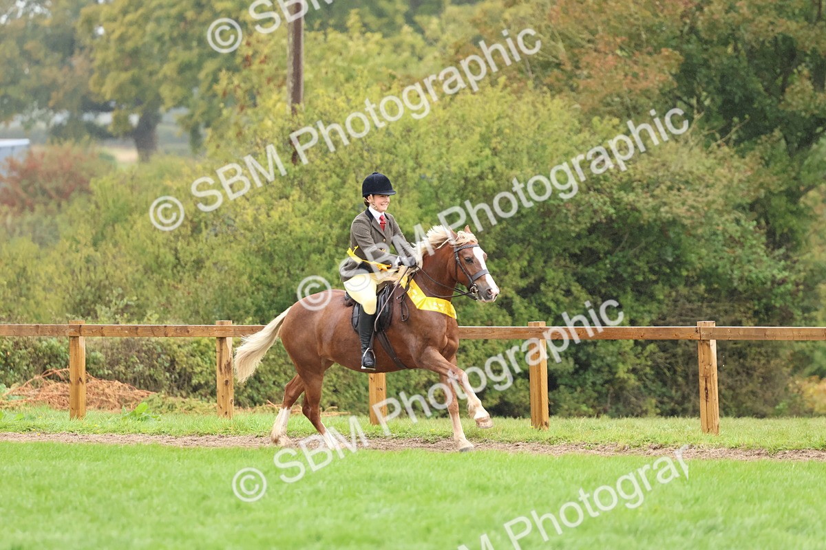 SBM_69769 - S62 - Mountain & Moorland Ridden Large Breeds
