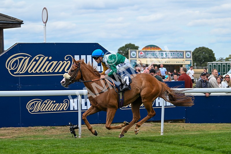 300825-Race 2-Shagraan-0698 - Race 2