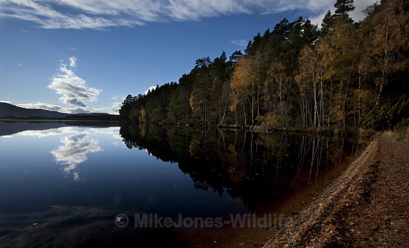 Loch Garten, Cairngorms national park - SCOTLAND LANDSCAPE PHOTOGRAPHY