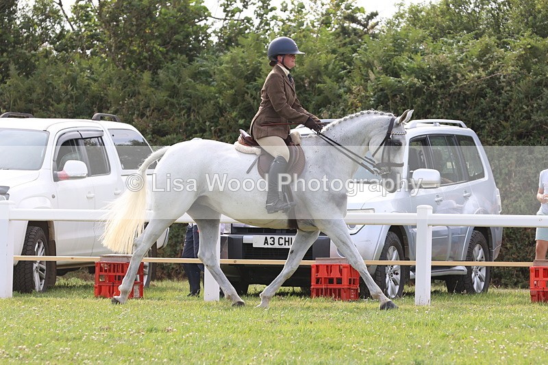 JPP_4232 - Class 25: Working Show Horse