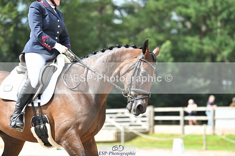 230812-110827-03547 - Cls 6 Novice Silver 10.30 to 11.55 break