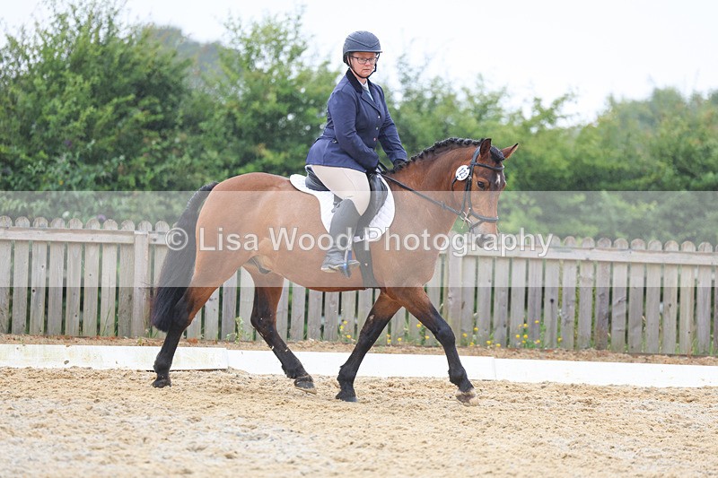 3E7A8503 - Class 2: Intro 3 2024 section B