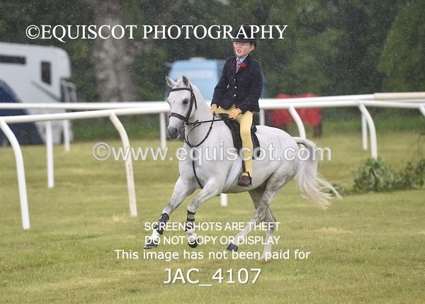 JAC_4107 - 40CM WORKING HUNTER