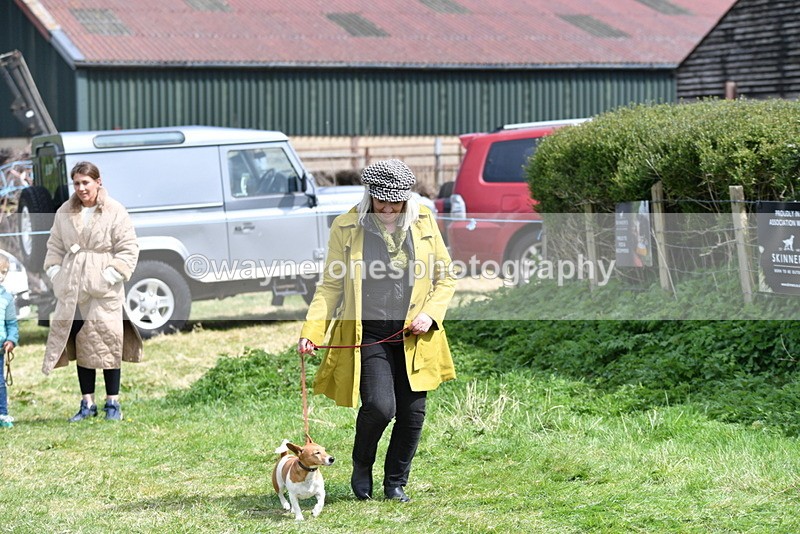 WJ5_0446 - Class 7 Best Terrier