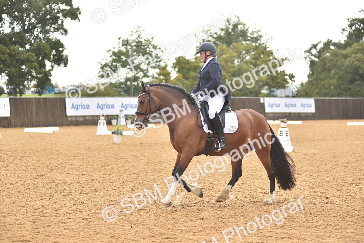 SBM_02089 - D7 - Small Tour Championship Prelim 2