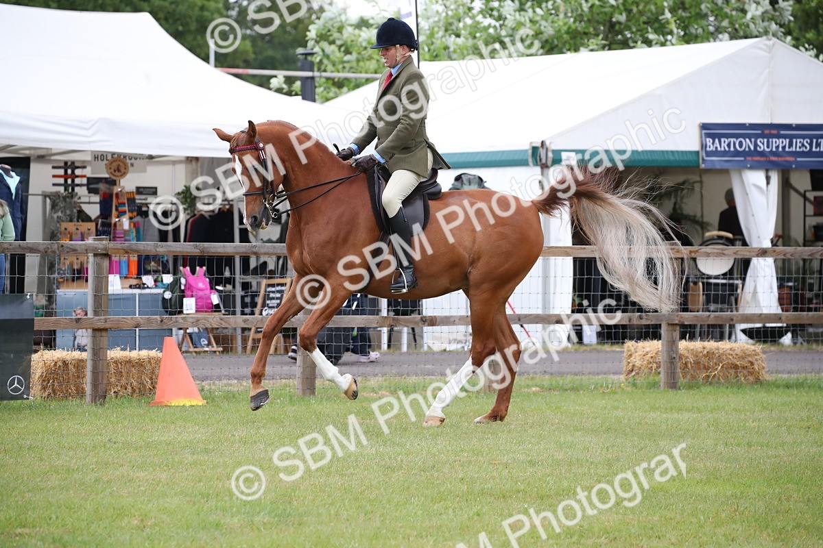 SBM_03627 - Class 21 - 22 - Ridden Arab and Part Bred/Anglo Arab