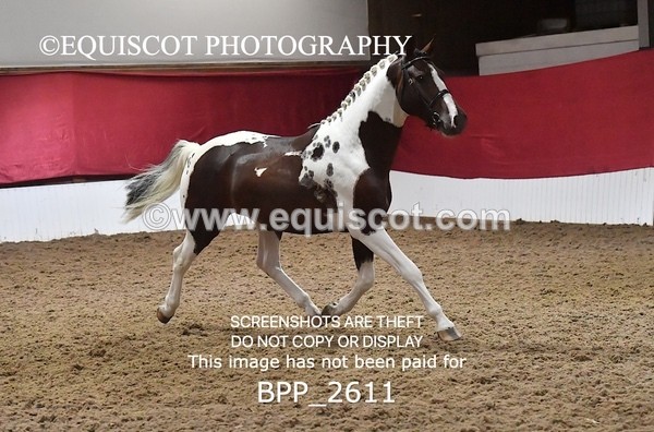 BPP_2611 - LOOSE JUMPING / SPSS