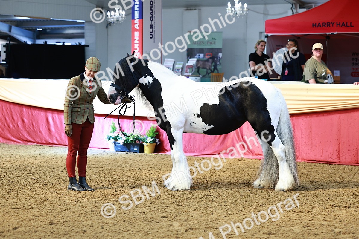 SBM_23240 - Class 903 - Supreme Final - IH Pre Vet