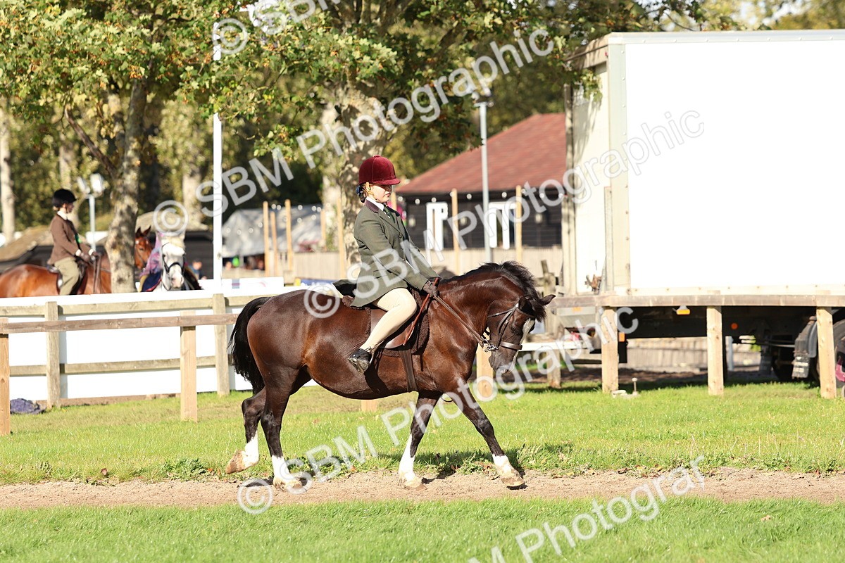 SBM_52362 - S13 - Pony Club Pony
