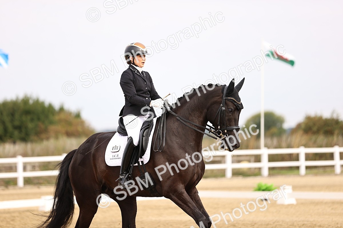 SBM_011631 - Class 1 - Medium 5