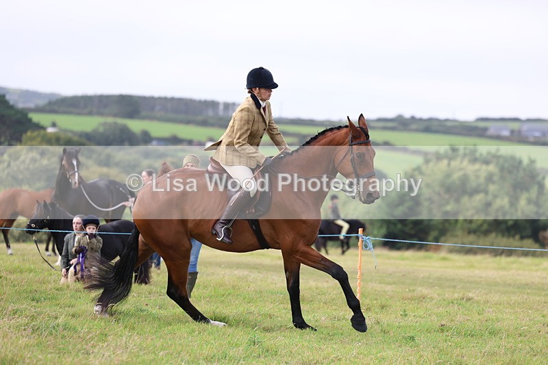 3E7A3953 - Class 4: Best Combination Open