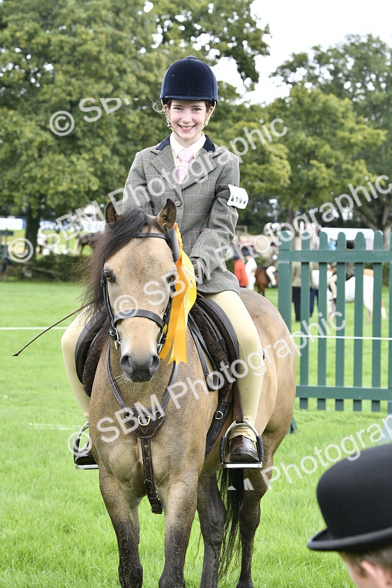 SBM_38294 - S31 - Novice & Newcomer Working Hunter Pony