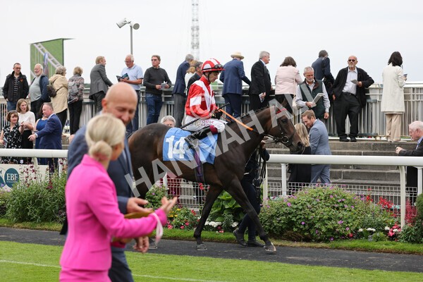 yr19082021r3-22 - Race 3 3.00pm Clipper Logistics Stakes