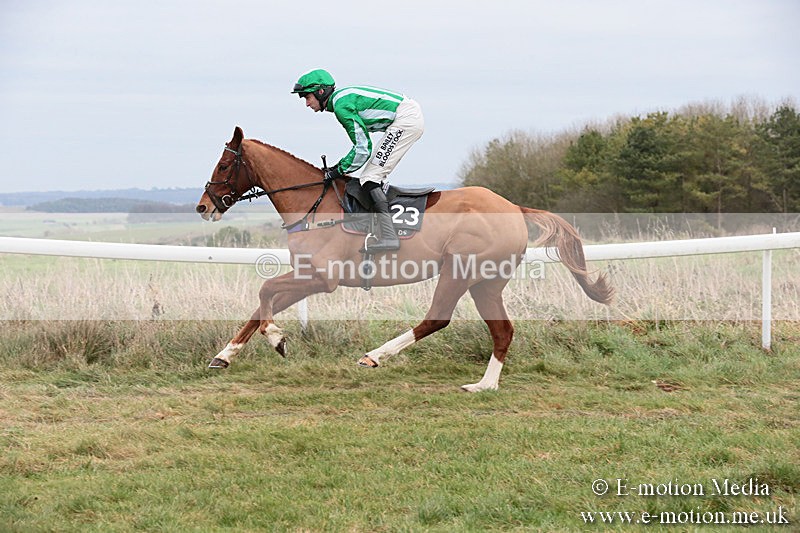 PtP 060119 313 - Larkhill Racing Club - Point-to-Point- 06/01/2019