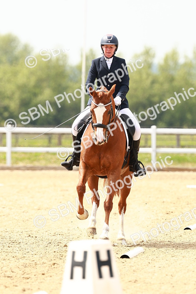 SBM_002888 - Class 12 - Medium 4