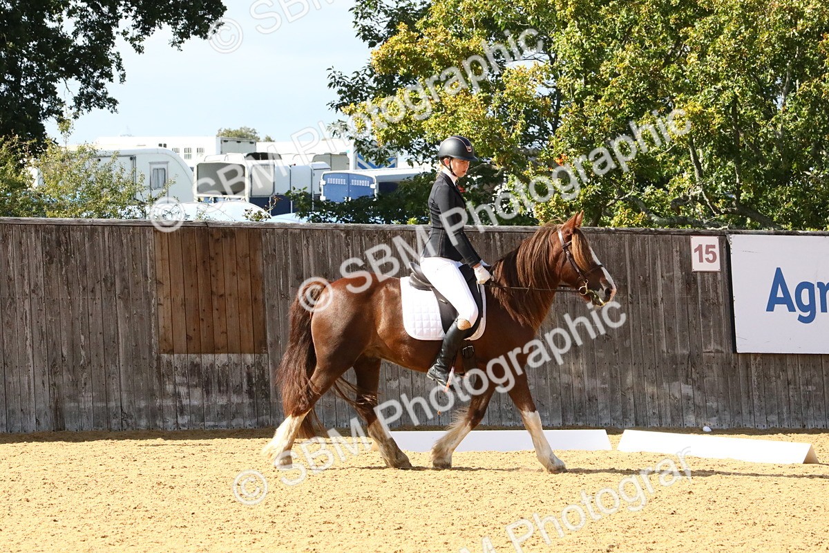 SBM_24397 - D5 - Small Tour Championshop Intro 2