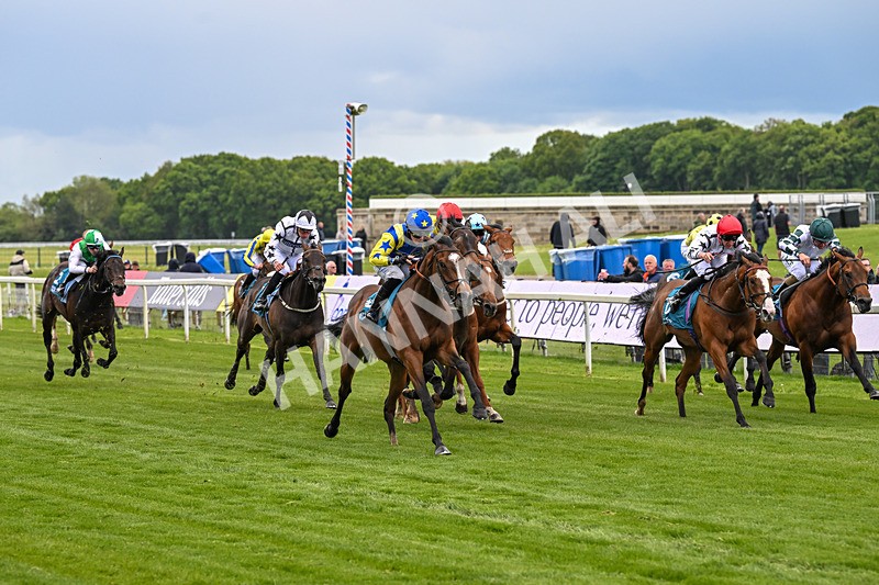 130526-Race 6-Startled-3427 - Race 6 4.40pm Conundrum HR Consulting Handicap