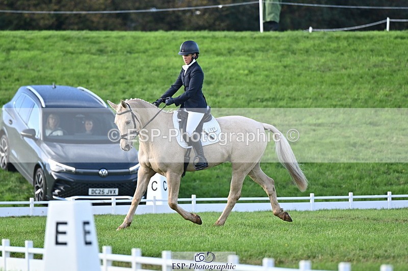 251024A-150826-13952 - E-395-Rolline.OCallaghan