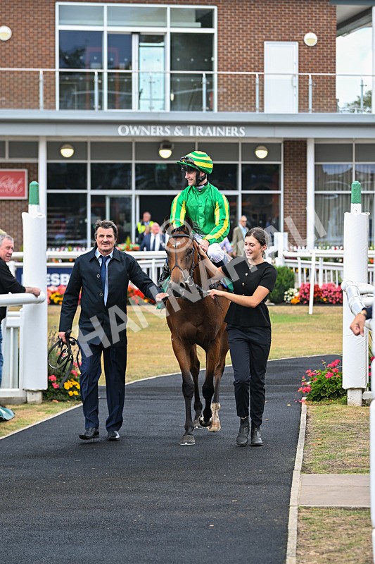 290825-Race 2-Brigids Well-8417 - Race 2