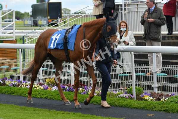 yr22052021r7-2 - Race 7 5.25pm Hudson Quarter York Palace Capital Stakes - Gentleman Amateur Riders Race