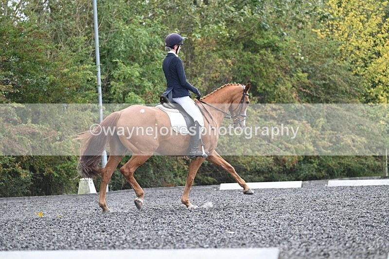 WJ7_6779 - Time 14:49 to 15:14