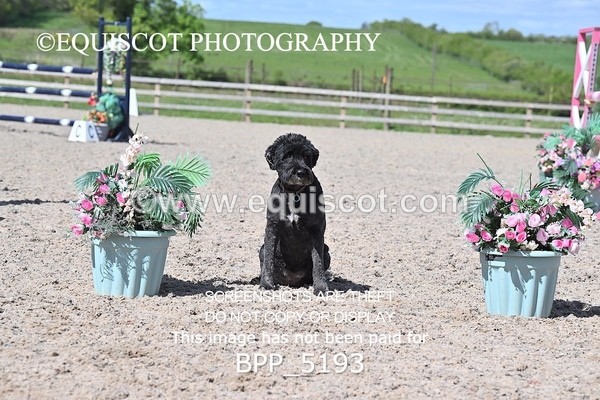 BPP_5193 - CLASS 36 MON Scottish Spring Final 1.10m