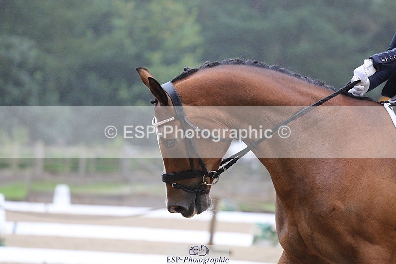 240720-093234-03746 - 184-Amy_Richards-IΓÇÖm_Fine