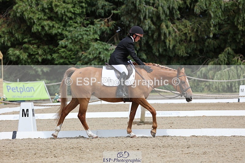 250718A-145344-02314 - 107-Beatrice.Coker-Brown-Portia.the.Fawn