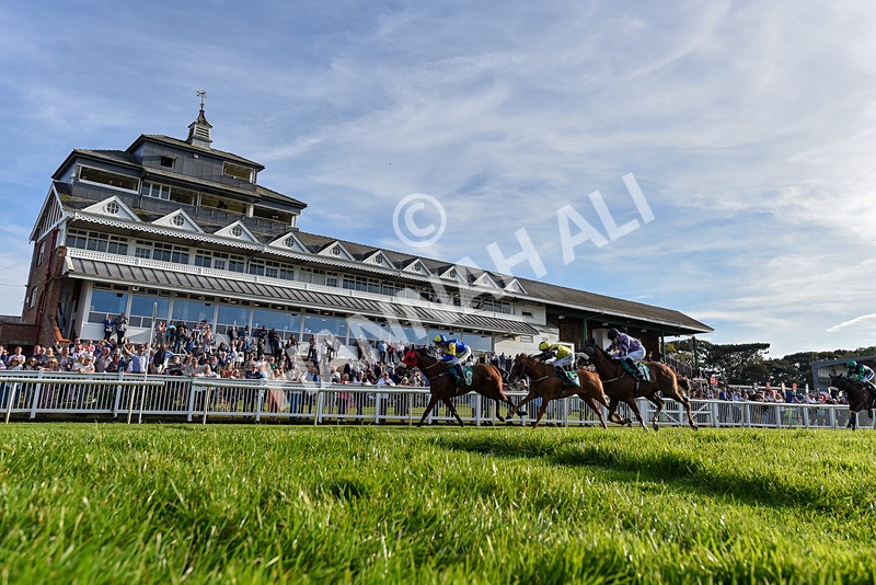 160924-Race 8-Sparkling Red-6946 - Race 8