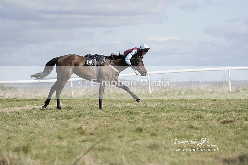 PtP 260223 486 - South & West Wilts Point-to-Point Larkhill 26/02/23