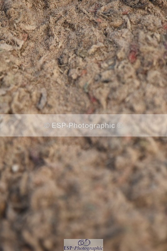 230915A-112302-00295 - Cls 9 British Novice & 90cm Open